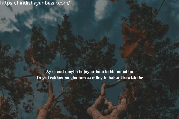 Sad-Shayari, Broken-Heart-Sad-Shayari, Broken-Heart-Sad-Shayari-In-English, Sad-Shayari-In-English, Emotional-Sad-Shayari, 2-Line-Sad-Shayari-In-English, Sad-Shayari-English-2-Line, City-Shayari-In-English, Sad-Shayari-In-English-2-Line, Broken-Heart-Shayari-In-English-2-Line, English-Sad-Shayari-2-Line, English-Shayari-Sad-2-Line, Sad-Shayari-2-Line-In-English, Sad-Shayari-2-Line-Heart-Touching-English