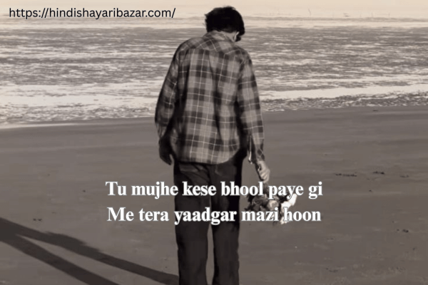 Sad-Love-Shayari, Sad-Love-Shayari-In-English, Sad-Love-Shayari-For-Boys, Broken-Heart-Sad-Shayari