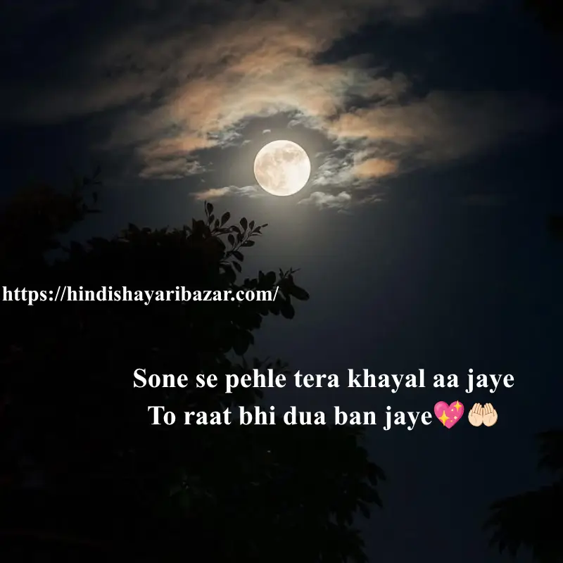 Goodnight Love Shayari