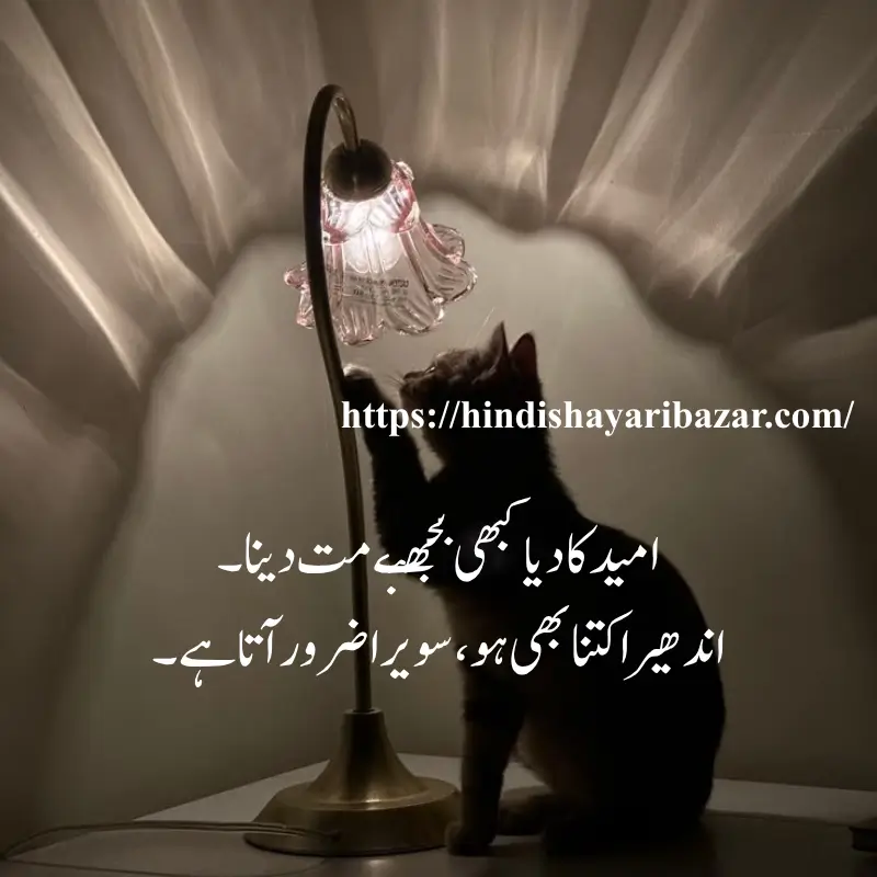 Hindi-Shayari-Bazar, Poetry, Shayari, Inspirational-Poetry, Motivation, Motivational-Poetry, Hindi-Shayari, Urdu-Shayari, English-Poetry