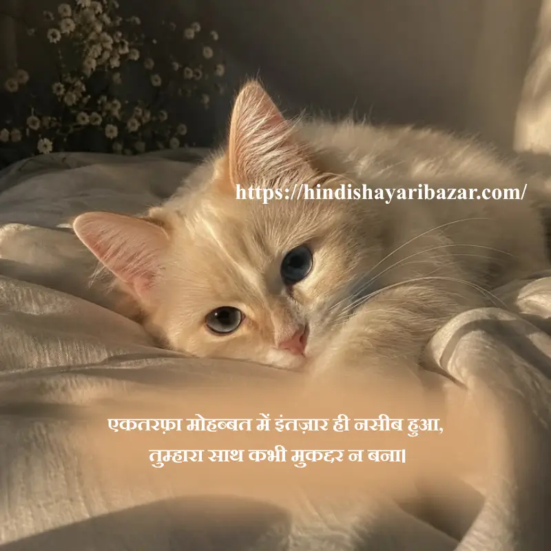 Hindi-Shayari Bazar, Hindi-Shayari, Shayari-Bazar, Hindi-Poetry, Urdu-Shayari, Urdu-Poetry, English-Shayari, English-Poetry, Roman-English-Shayari, Roman-English-Poetry, Shayari-In-Urdu, Shayari-In-Hindi, Shayari-In-Roman-English, Yak-Tarfa-Muhabat, Yak-Tarfa-Muhabat-Shayari, Yak-Tarfa-Muhabat-Shayari-In-Hindi, Yak-Tarfa-Muhabat-Shayari-In-English, Yak-Tarfa-Muhabat-Shayari-In-Urdu, One-Sided-Love-Shayari, One-Sided-Love-Poetry, One-Sided-Love-Shayari-In-Urdu, One-Sided-Love-Shayari-In-Hindi, One-Sided-Love-Shayari-In-English, One-Sided-Love-Shayari-In-Roman-English, Sad-Shayari, One-Sided-Love-Sad-Shayari, One-Sided-Love-Sad-Shayari-In-Hindi, One-Sided-Love-Sad-Shayari-In-Urdu, One-Sided-Love-Sad-Shayari-In-English, One-Sided-Love-Sad-Shayari-In-Roman-English, Sad-Poetry, Broken-Heart, Broken-Heart-Shayari, Broken-Heart-Poetry, Alone-Shayari, Alone-Poetry